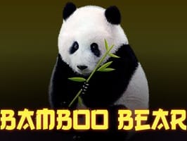 Bamboo Bear screenshot